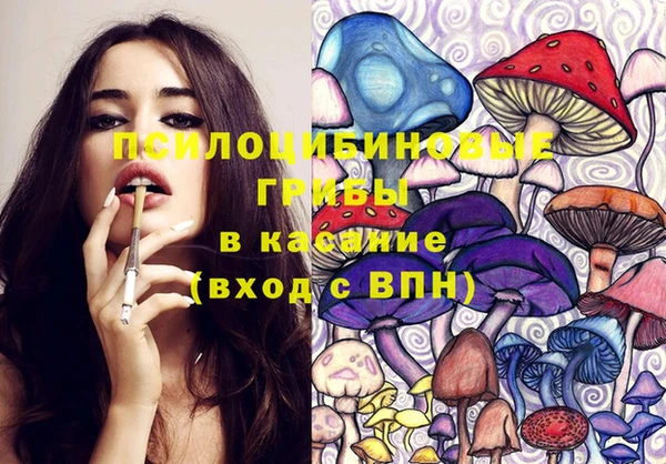 сатива Абдулино